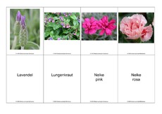 Blumen-Memo-Aufdeckspiel-17.pdf